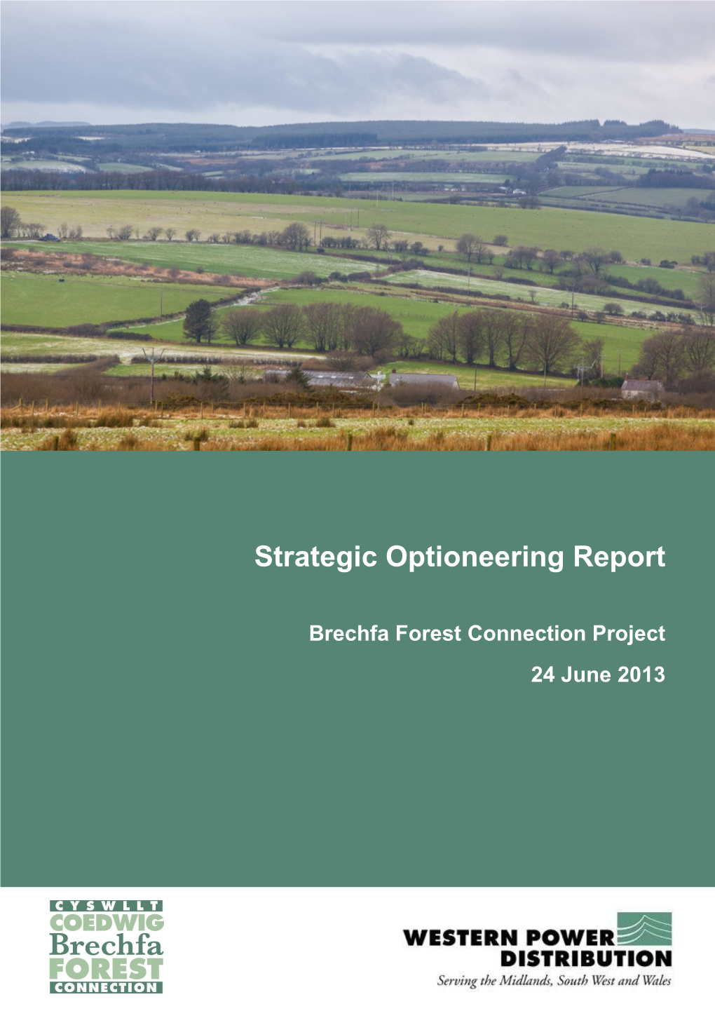 Strategic Optioneering Report
