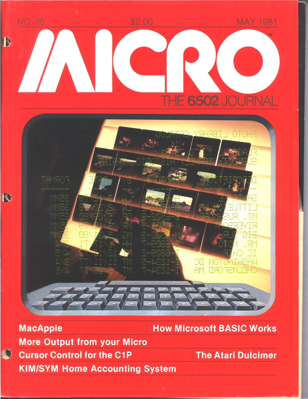 Macapple How Microsoft BASIC Works More Output from Your Micro C Cursor Control for the C1P the Atari Dulcimer KIM/SYM Home Accounting System You Can Use MICRO PLUS