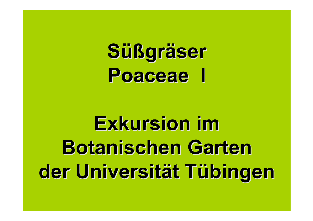 Süßgräser Poaceae I Exkursion Im Botanischen Garten Der Universität
