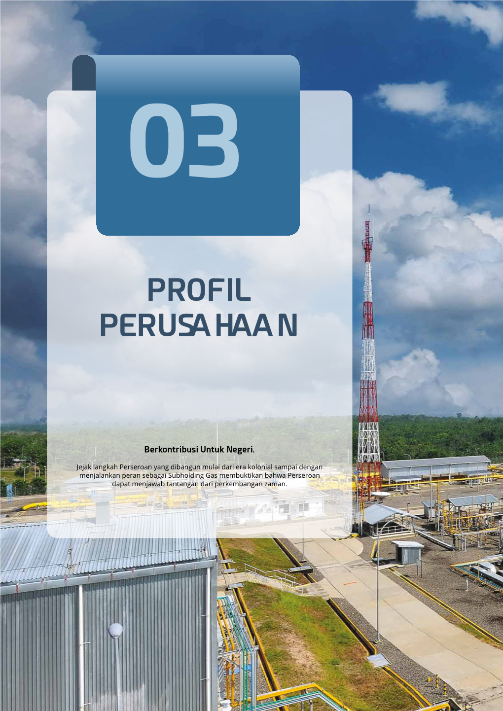 Profil Perusahaan