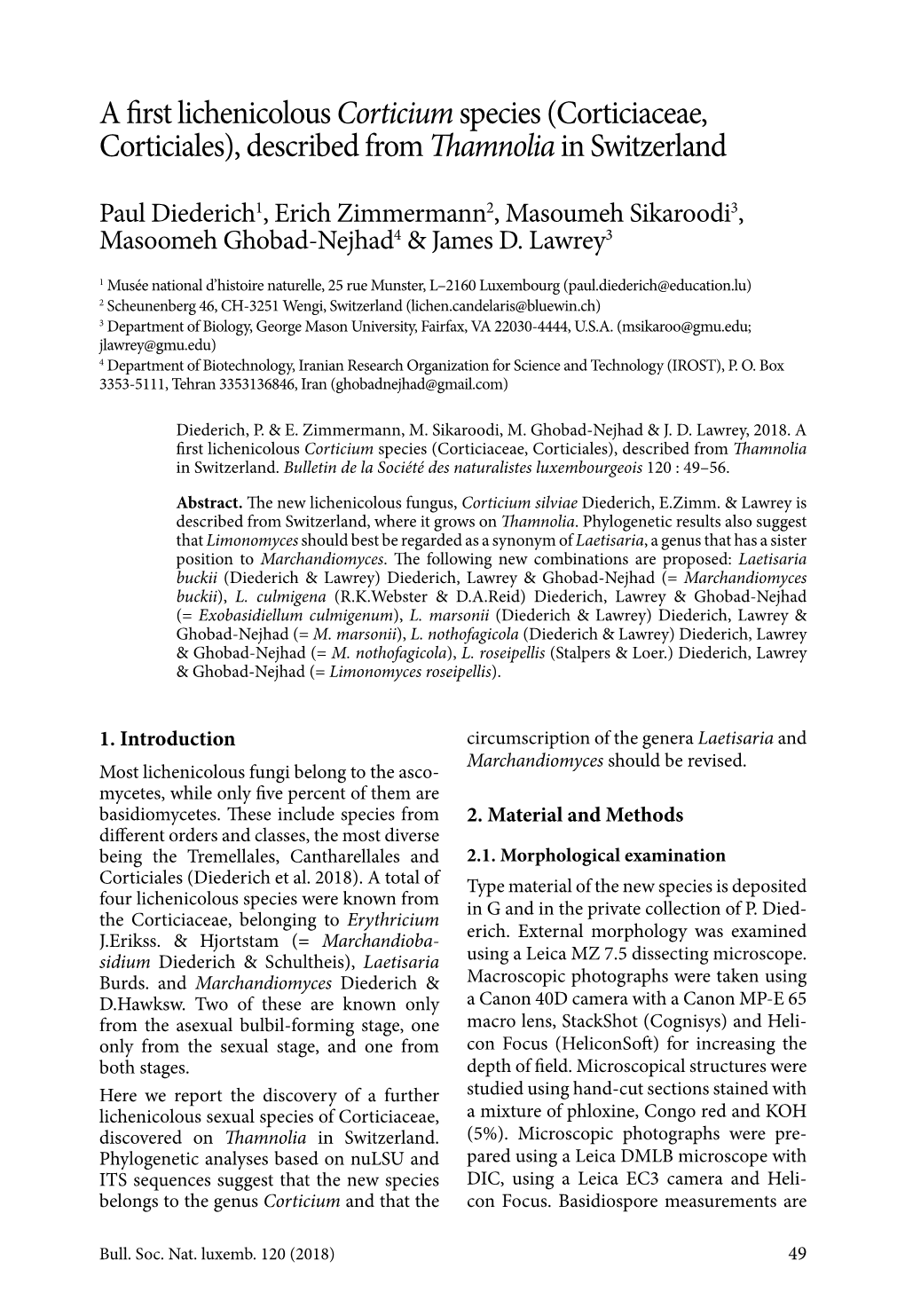 A First Lichenicolous Corticiumspecies (Corticiaceae, Corticiales), Described from Thamnoliain Switzerland