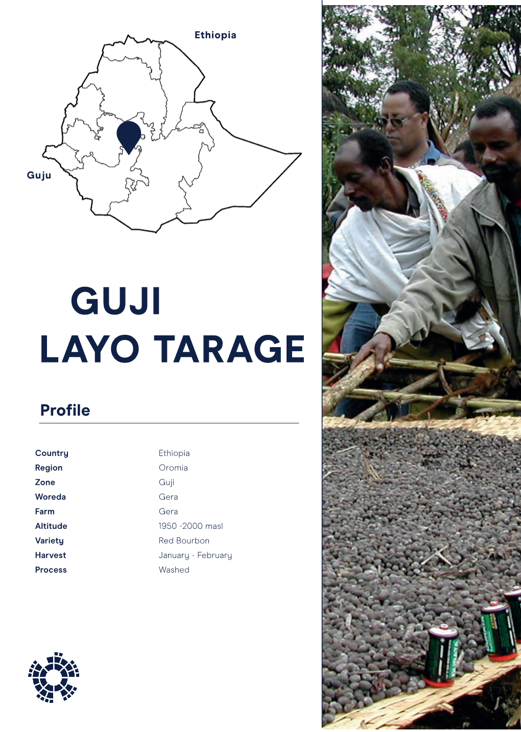 Ethiopia Guji G2 Layo Tarage.Indd