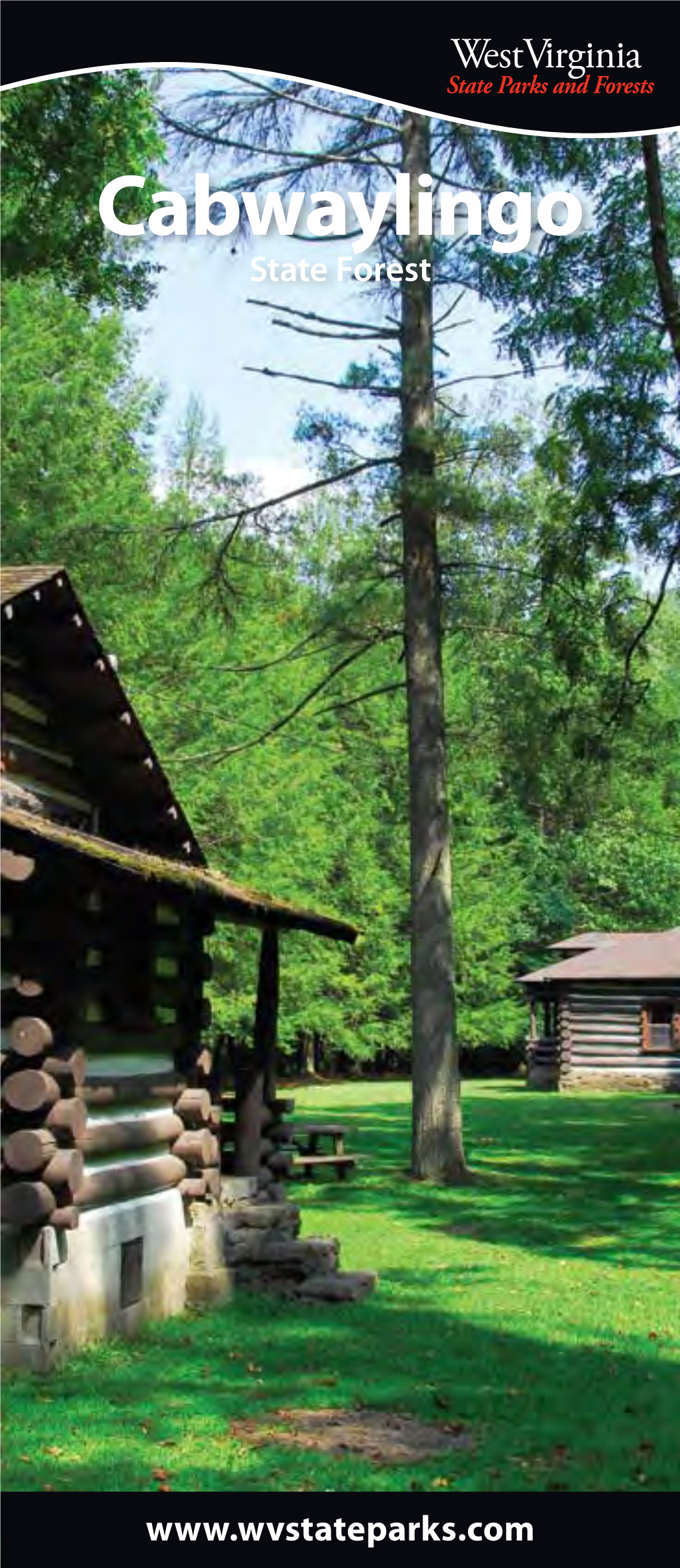 Cabwaylingo State Forest Is Located on 8,123 Heavily Forested Acres in the Heart of Southern West Virginia in Wayne County