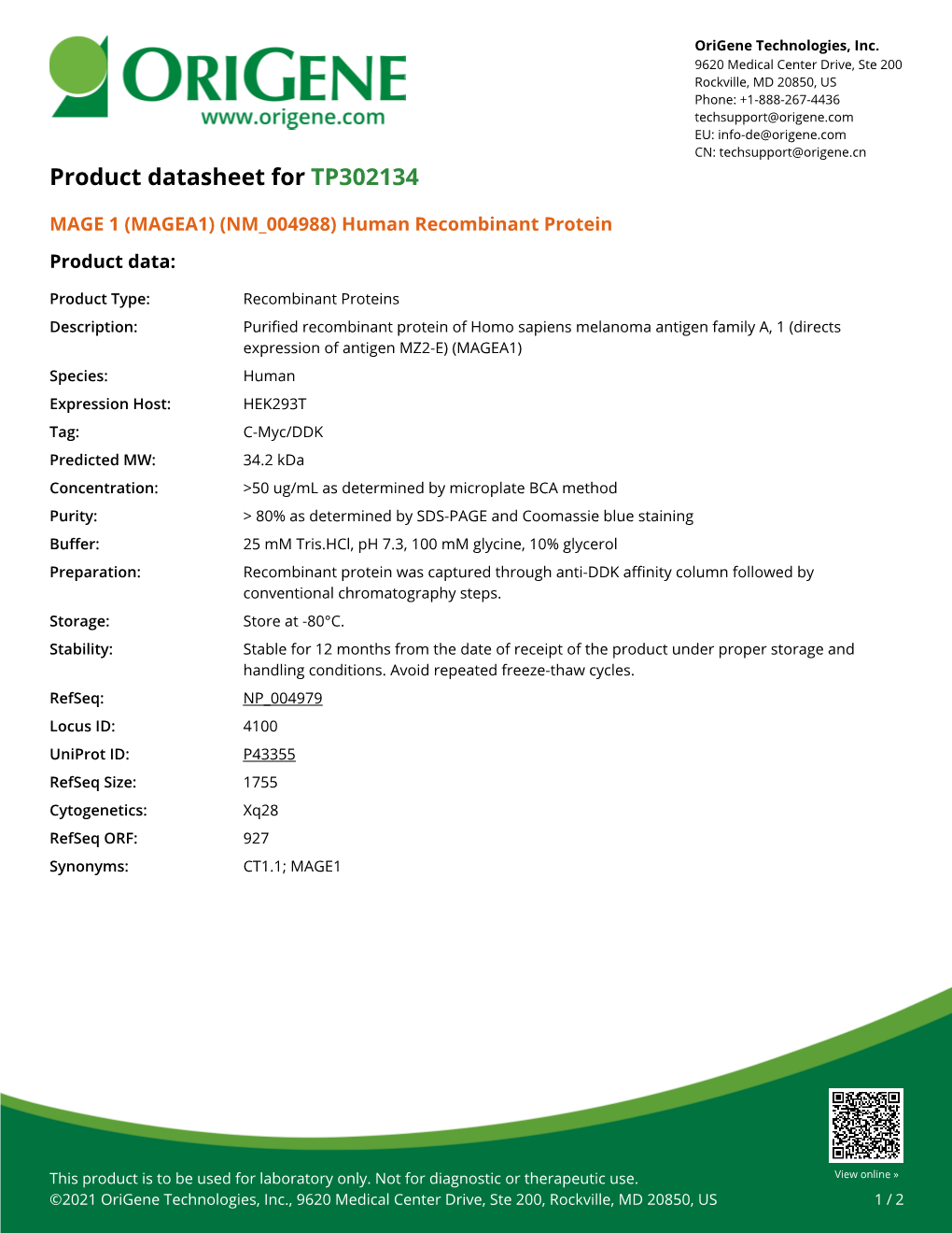 (MAGEA1) (NM 004988) Human Recombinant Protein Product Data