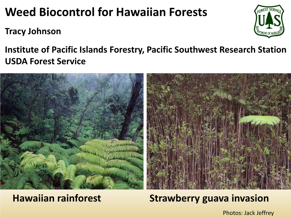 Weed Biocontrol for Hawaiian Forests Tracy Johnson Institute of Pacific Islands Forestry, Pacific Southwest Research Station USDA Forest Service