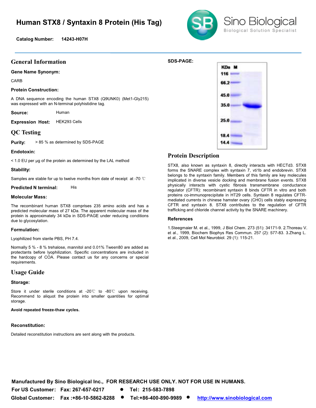 Human STX8 / Syntaxin 8 Protein (His Tag)