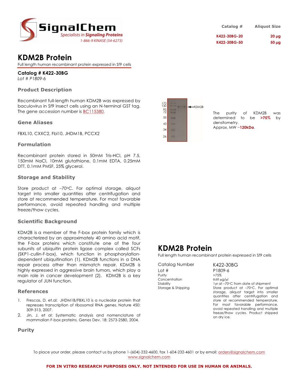 KDM2B Protein Full Length Human Recombinant Protein Expressed in Sf9 Cells