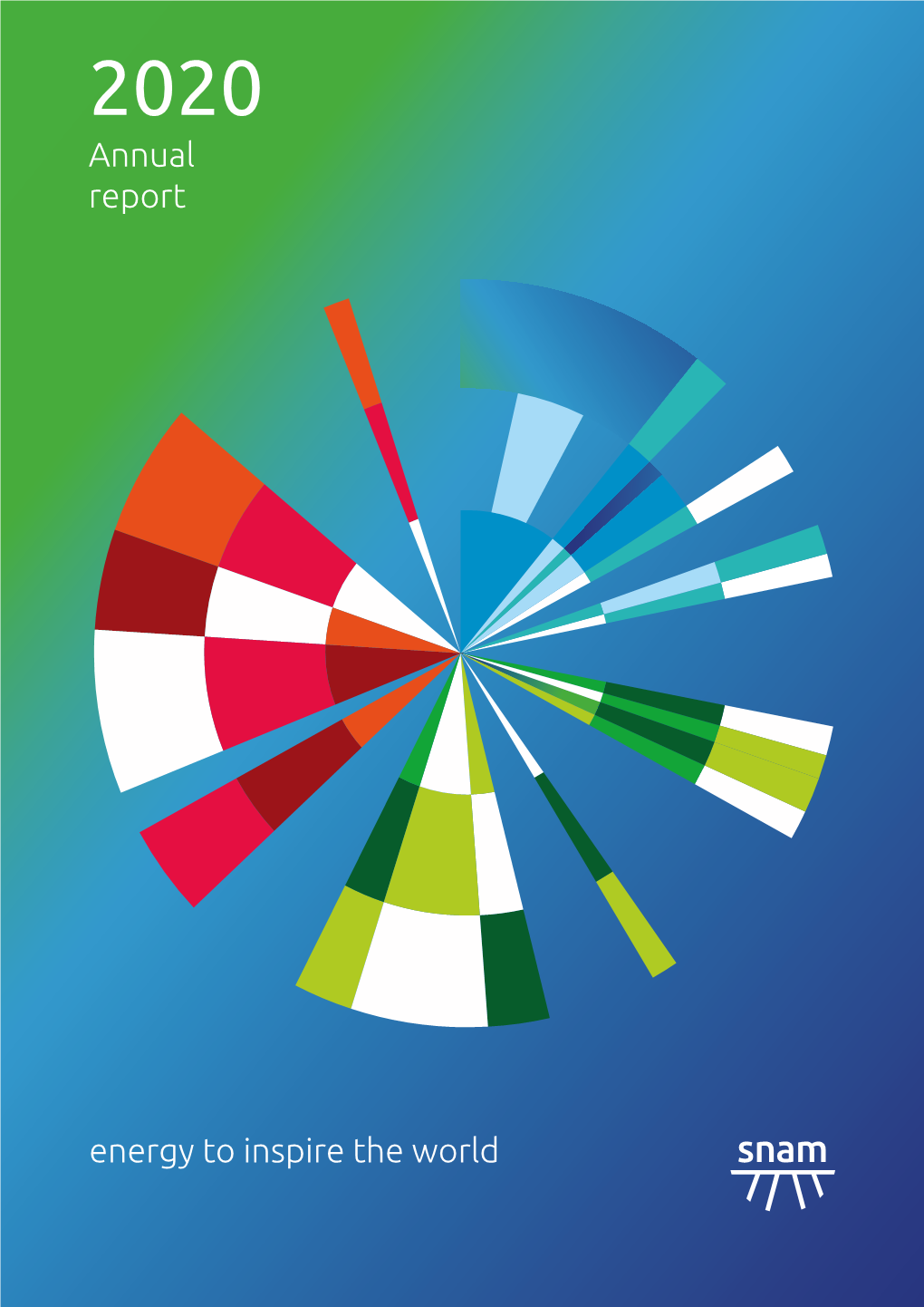 2020 Annual Report