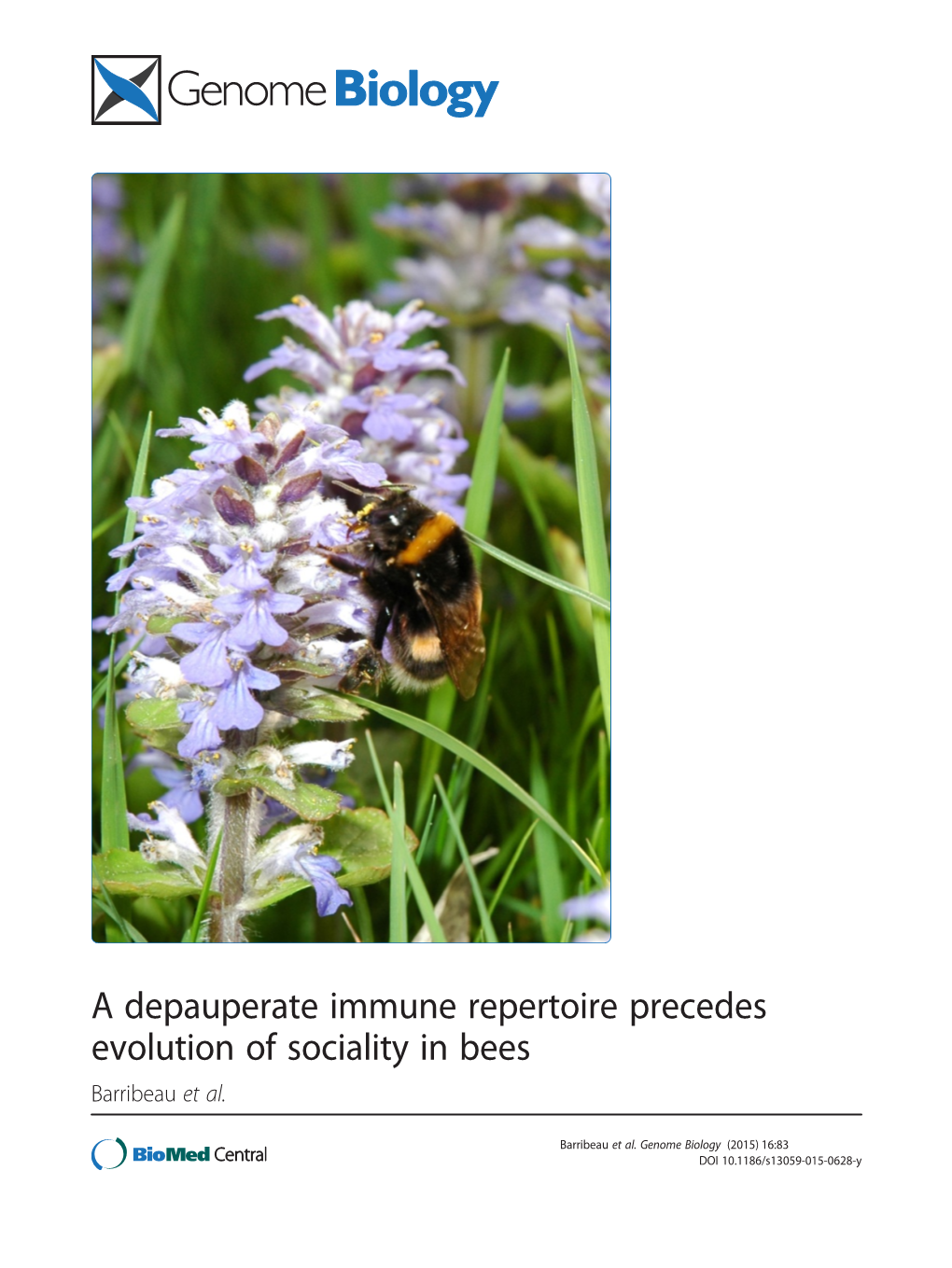 A Depauperate Immune Repertoire Precedes Evolution of Sociality in Bees Barribeau Et Al