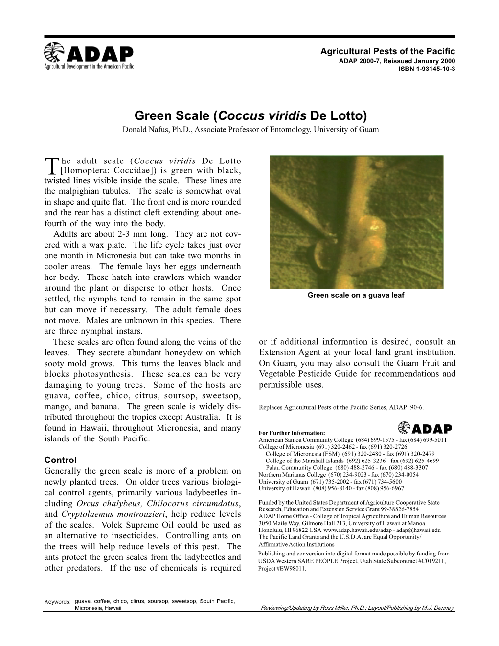 Green Scale (Coccus Viridis De Lotto) Donald Nafus, Ph.D., Associate Professor of Entomology, University of Guam