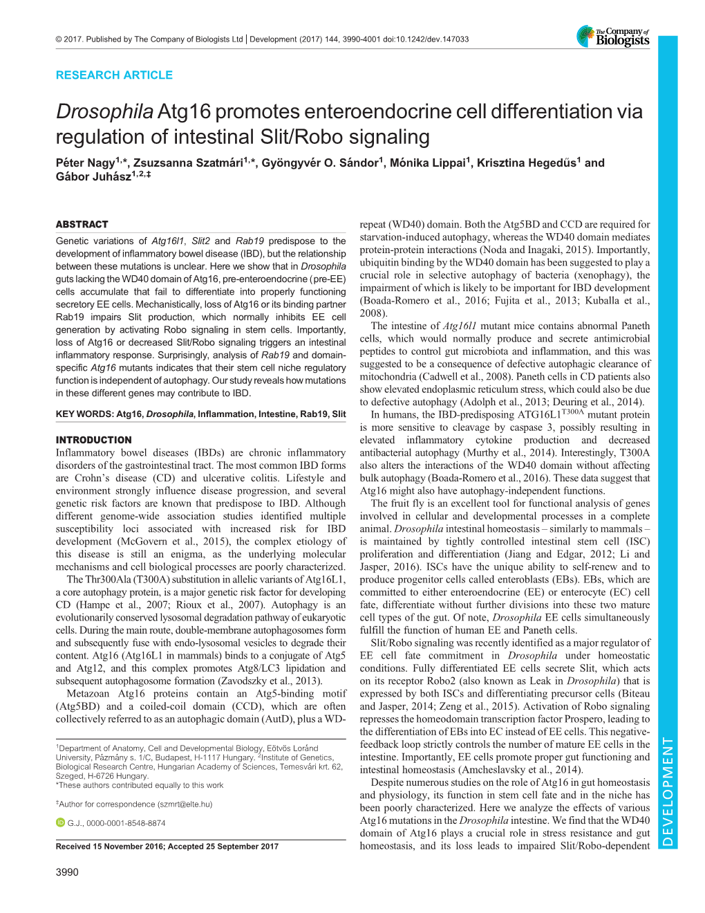 Drosophila Atg16 Promotes Enteroendocrine Cell Differentiation