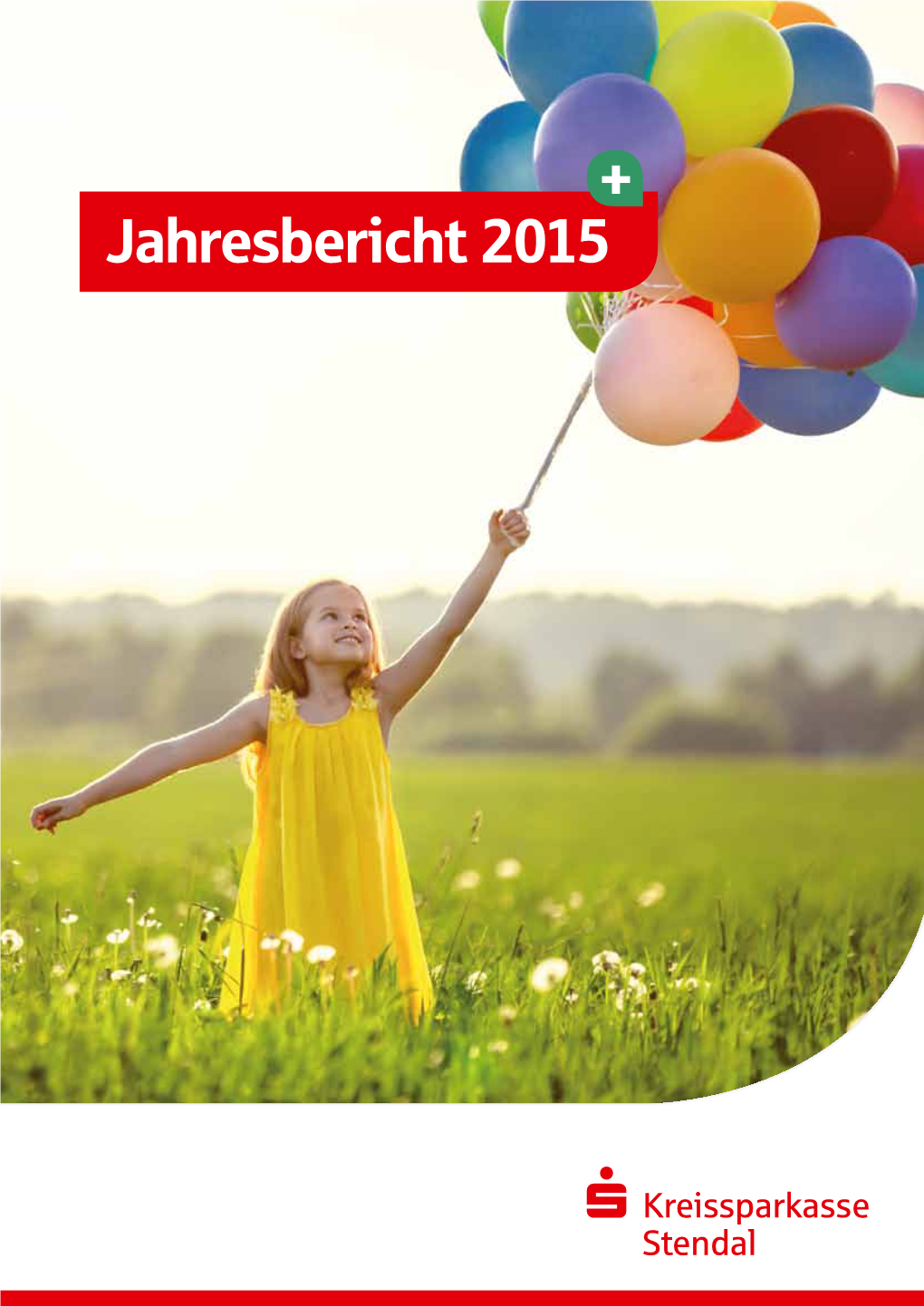 Jahresbericht 2015