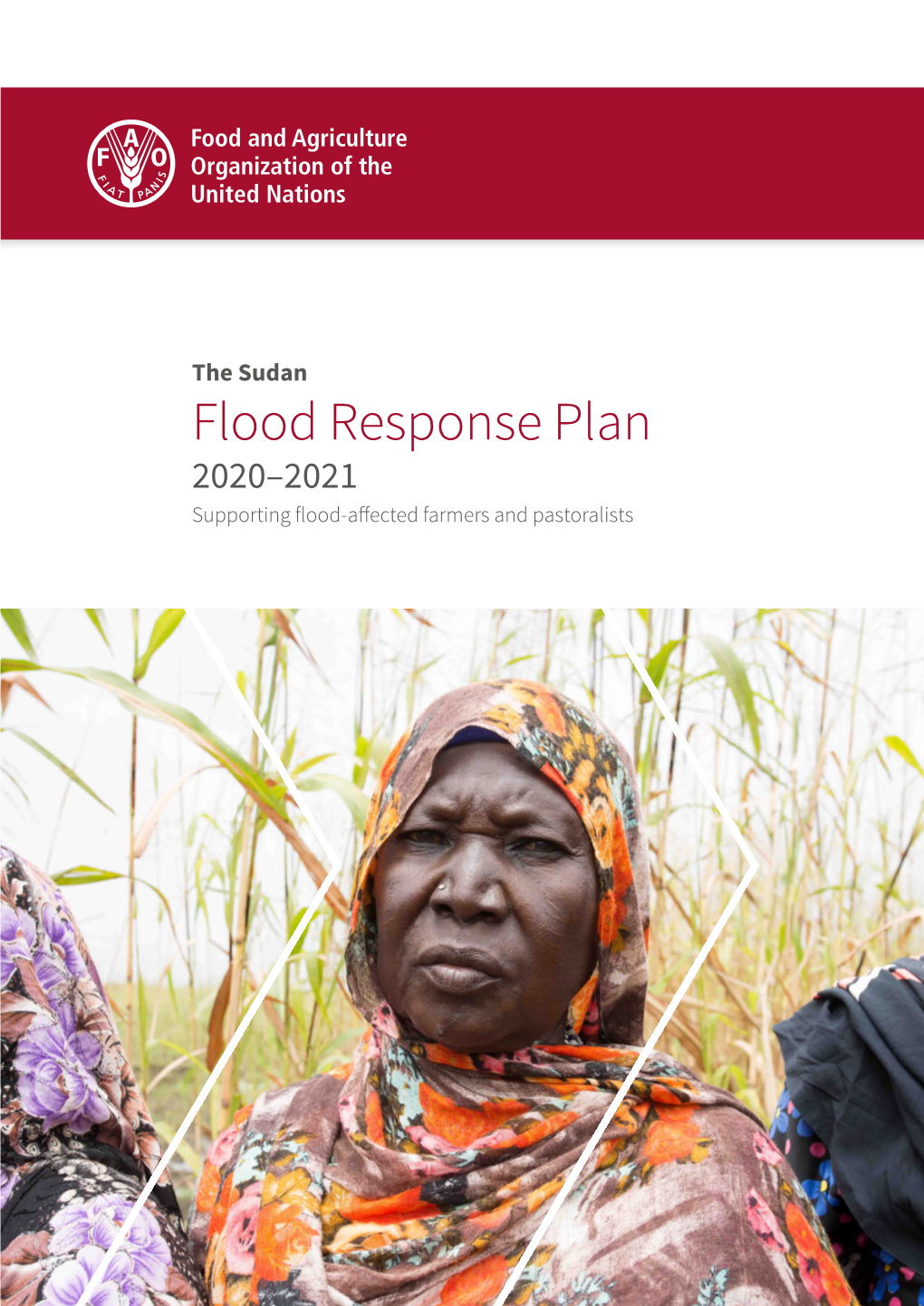 The Sudan Flood Response Plan 2020–2021