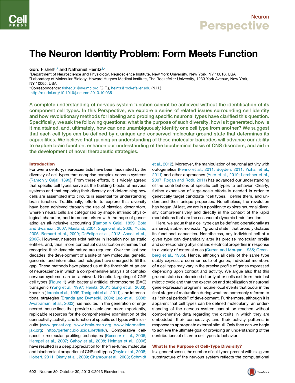 The Neuron Identity Problem: Form Meets Function