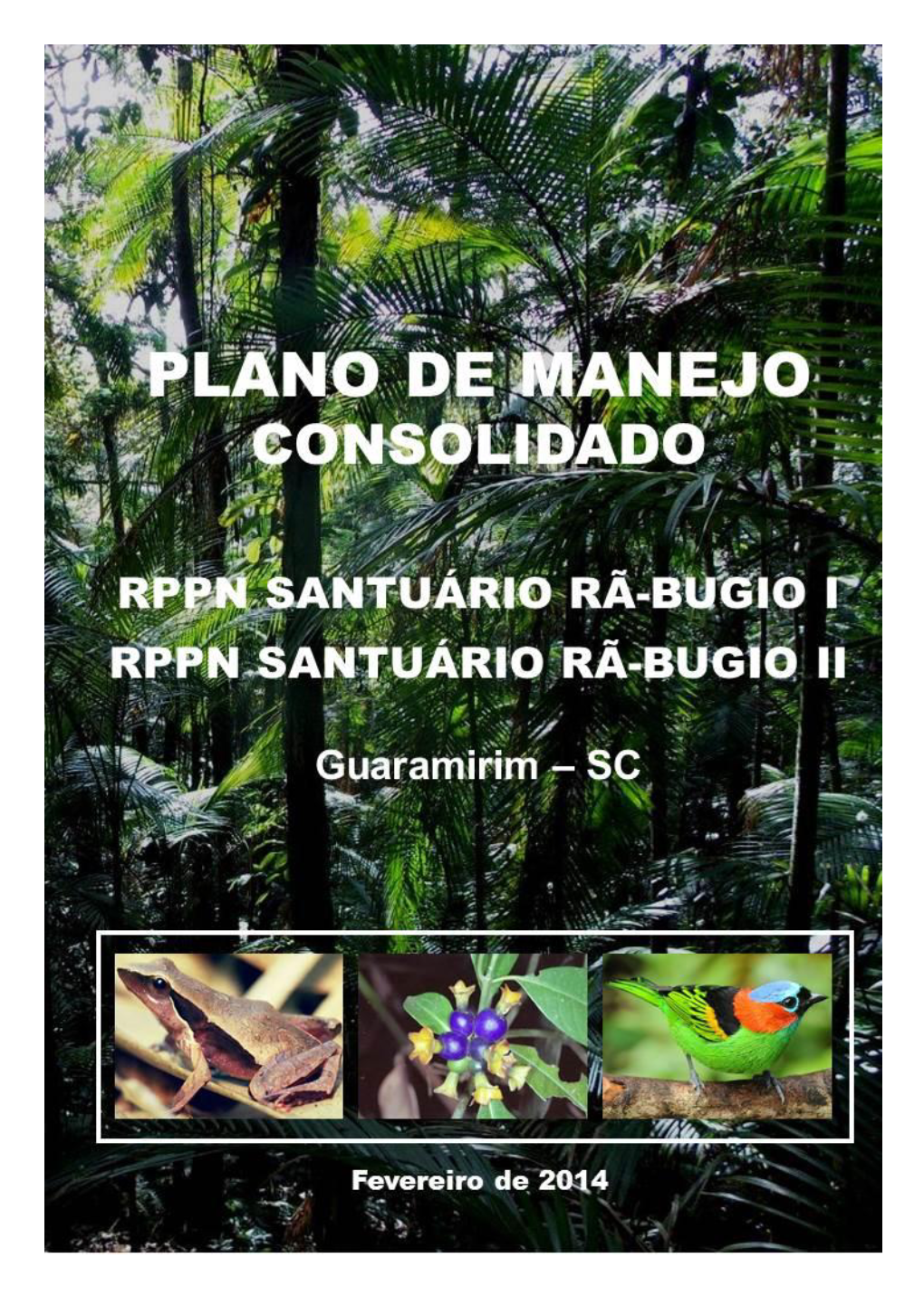 Plano De Manejo Das Rppns Santuário Rã-Bugio I E II – Guaramirim, SC