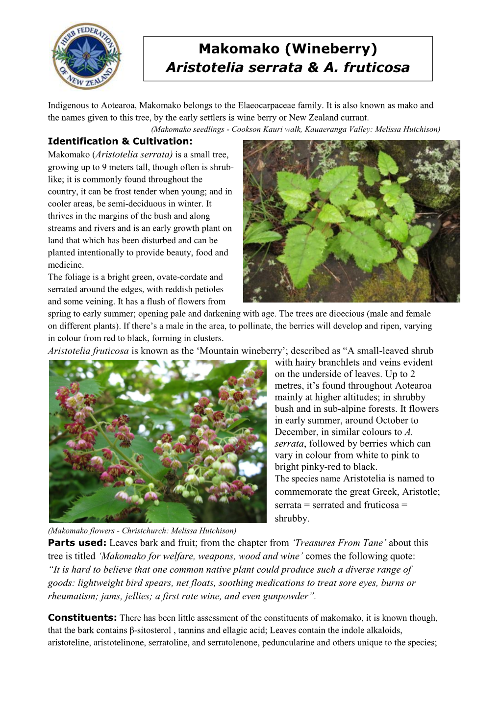 Makomako (Wineberry) Aristotelia Serrata & A. Fruticosa