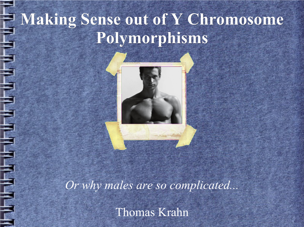 Making Sense out of Y Chromosome Polymorphisms