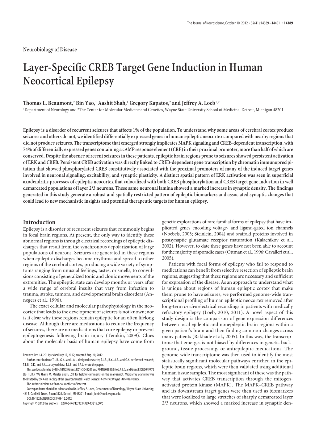 Layer-Specific CREB Target Gene Induction in Human Neocortical Epilepsy