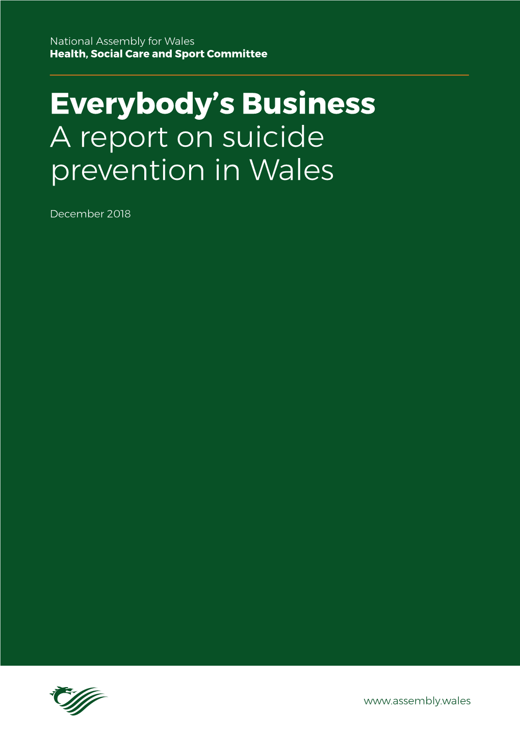 Everybody's Business a Report on Suicide Prevention in Wales