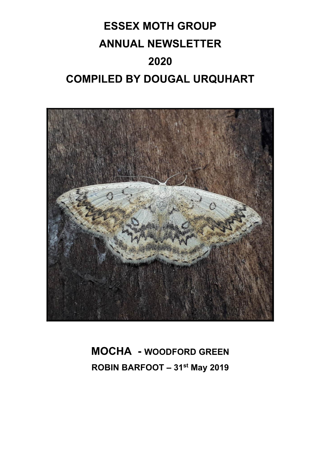 Essex Moth Group Annual Newsletter 2020 Compiled by Dougal Urquhart