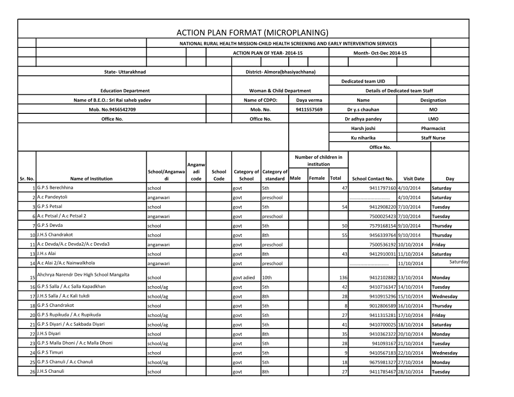 Action Plan Format (Microplaning)