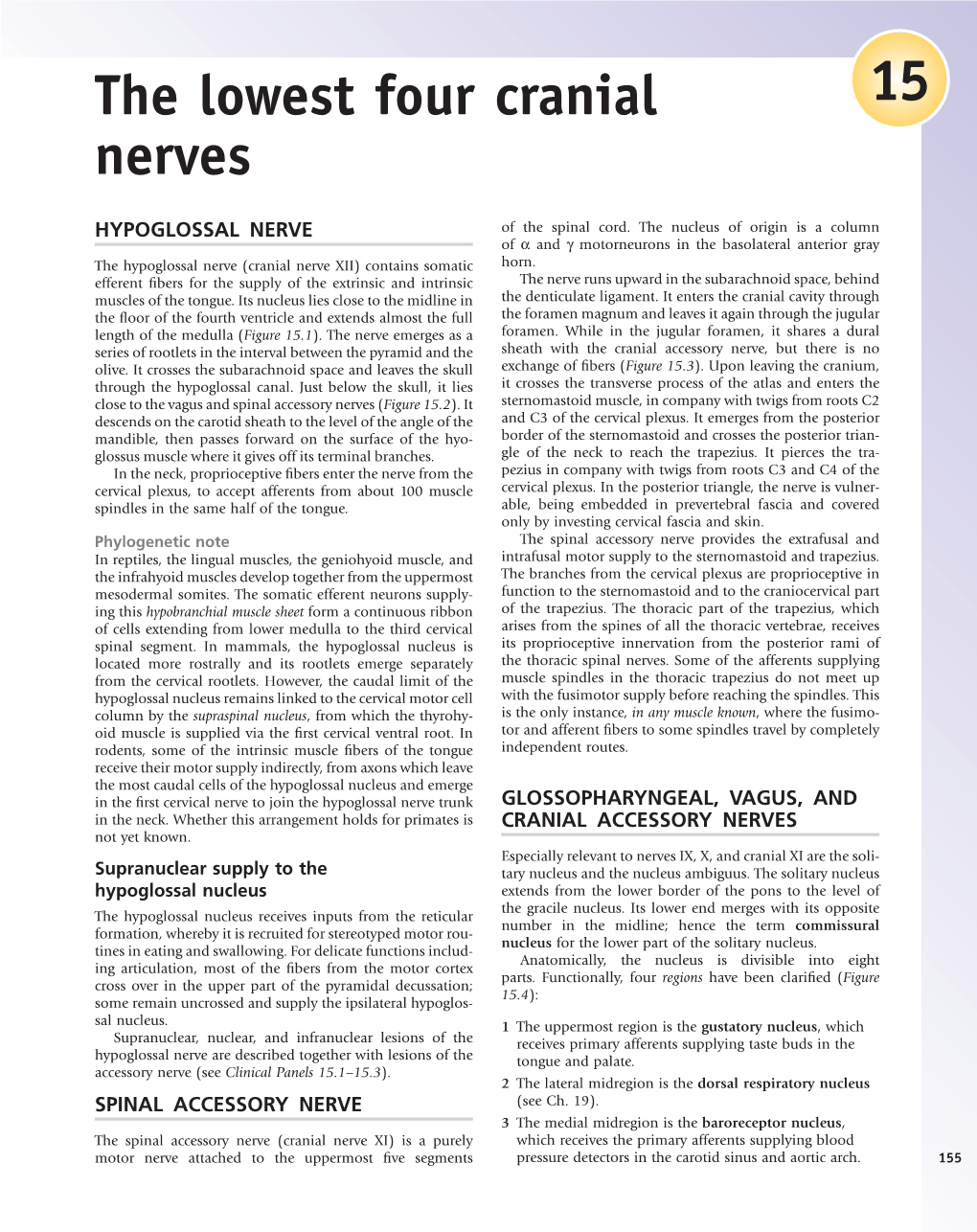 The Lowest Four Cranial Nerves