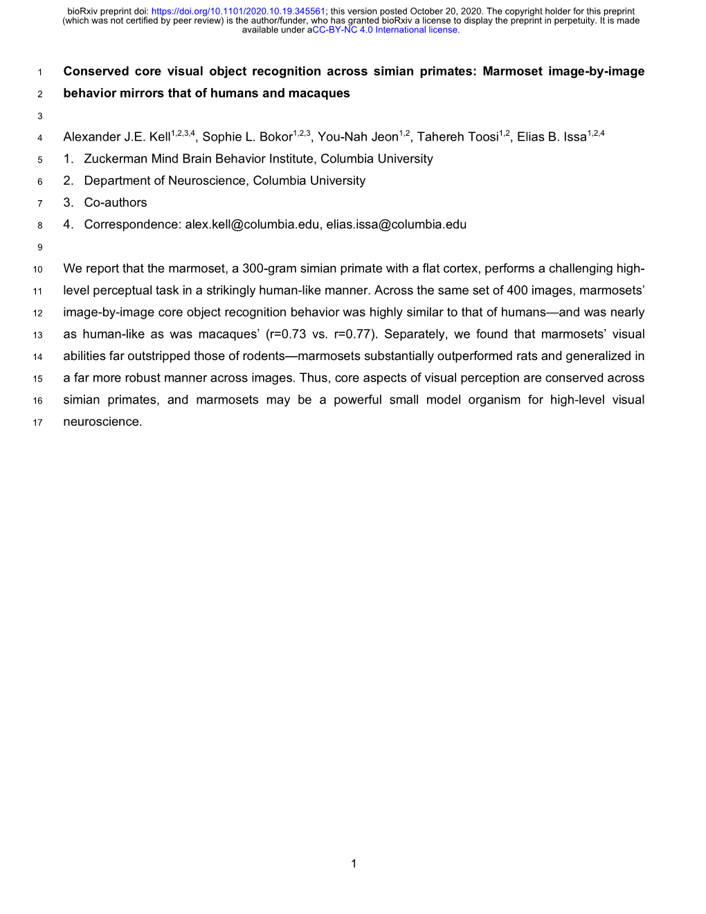 Conserved Core Visual Object Recognition Across Simian Primates: Marmoset Image-By-Image