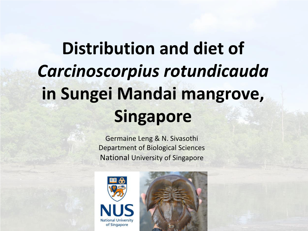 Distribution and Diet of the Mangrove Horseshoe Crab in Mandai