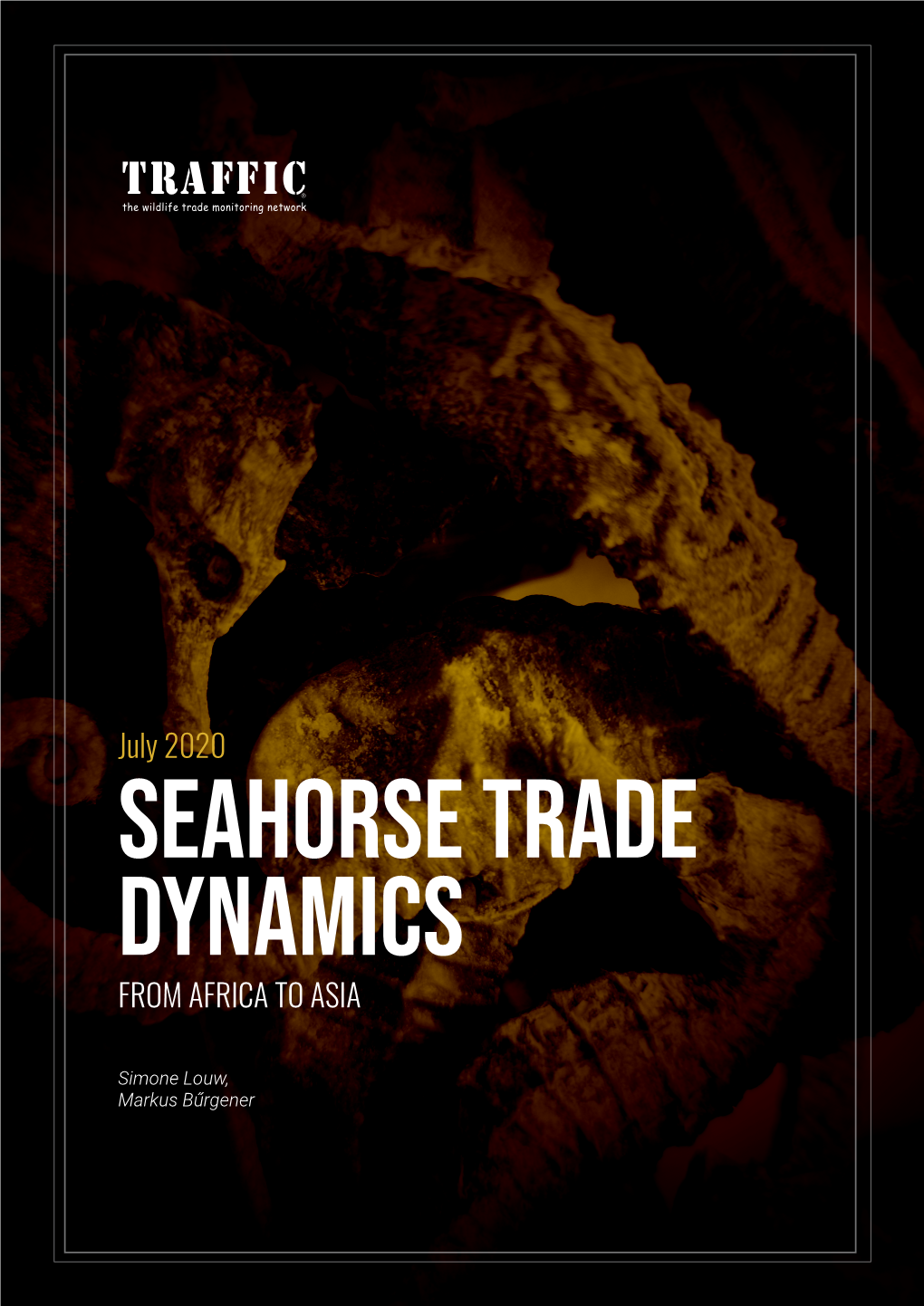 July 2020 SEAHORSE TRADE DYNAMICS from AFRICA to ASIA