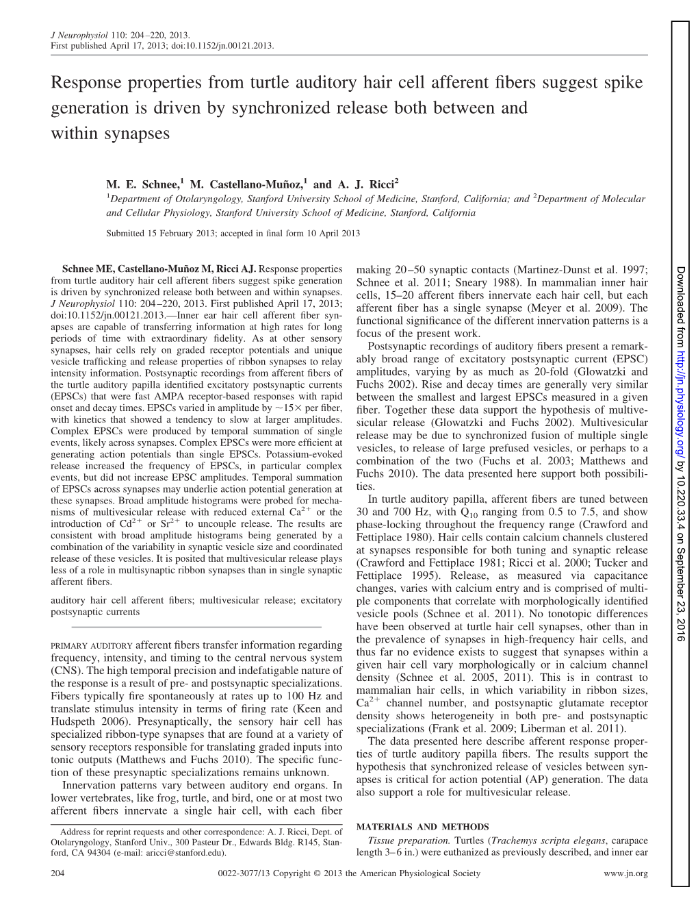 Response Properties from Turtle Auditory Hair Cell Afferent Fibers Suggest Spike Generation Is Driven by Synchronized Release Bo