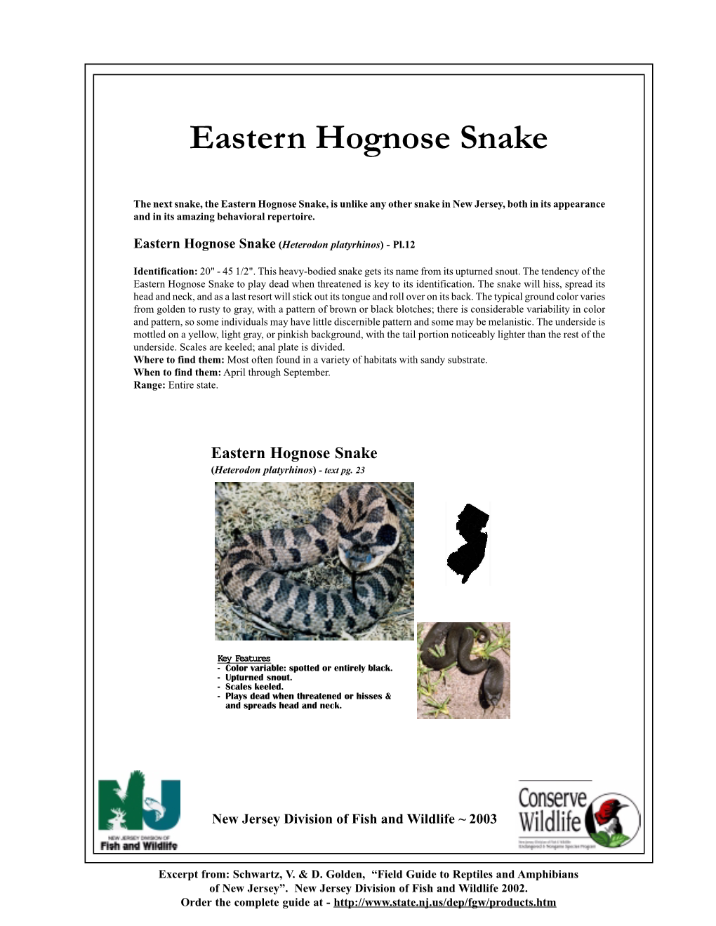 Eastern Hognose Snake