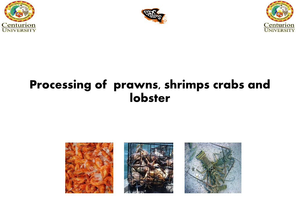 Processing of Prawns, Shrimps Crabs and Lobster Catching of Prawns & Other Sea Foods