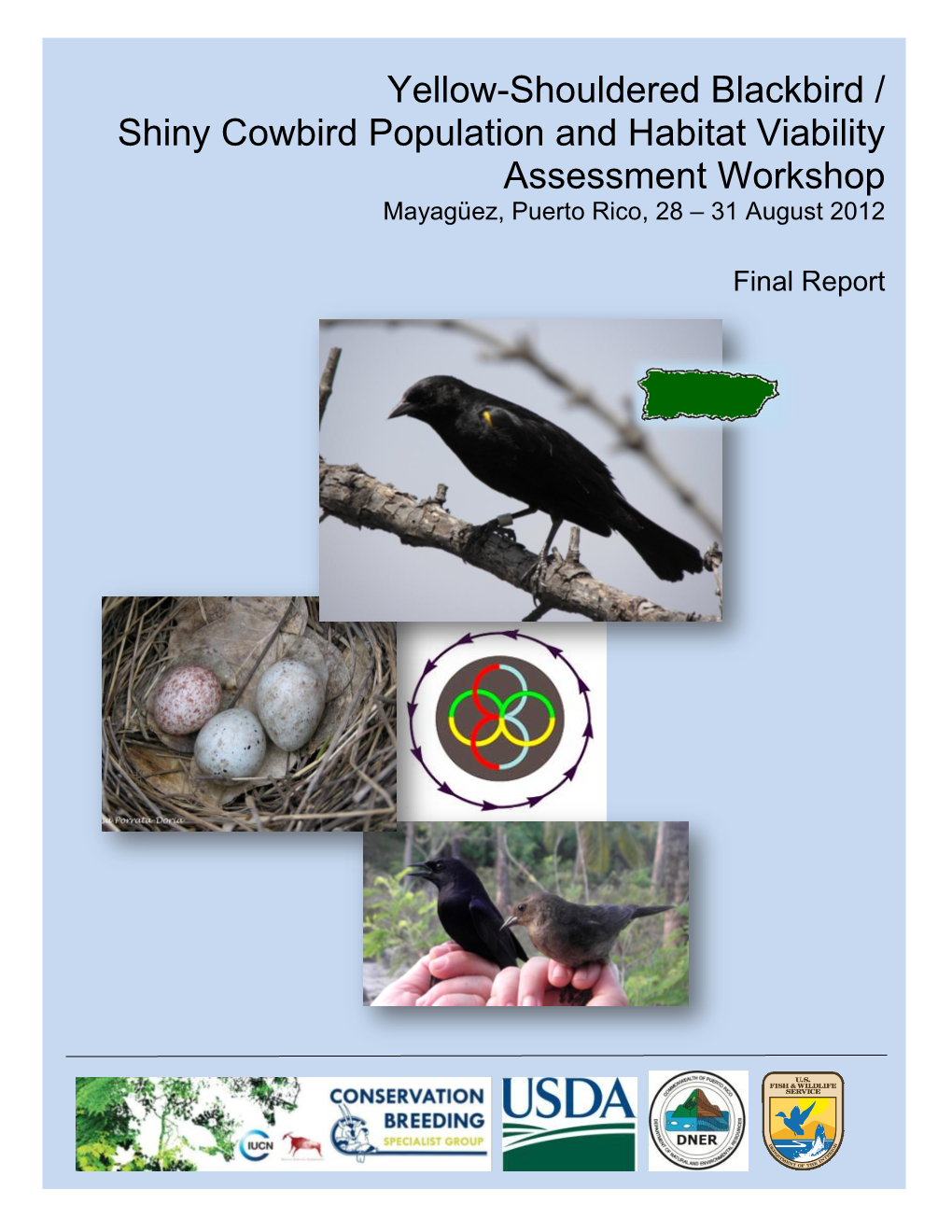 Yellow-Shouldered Blackbird / Shiny Cowbird Population and Habitat Viability Assessment Workshop Mayagüez, Puerto Rico, 28 – 31 August 2012