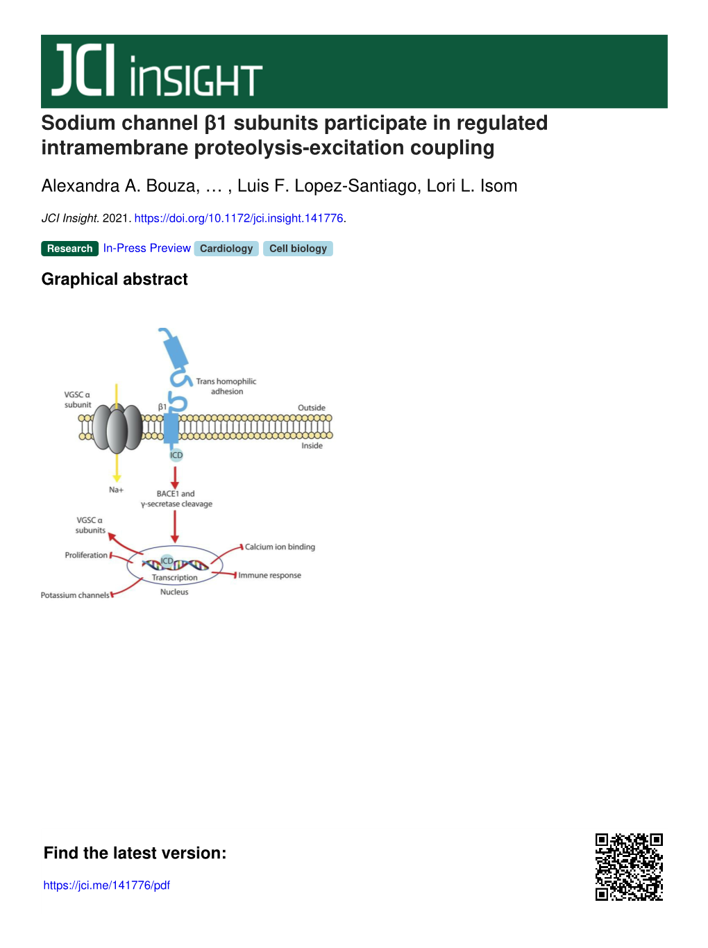 Sodium Channel Β1 Subunits Participate in Regulated Intramembrane Proteolysis-Excitation Coupling