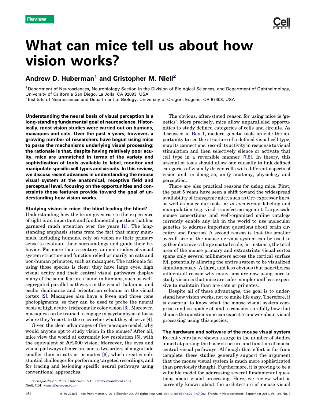 What Can Mice Tell Us About How Vision Works?