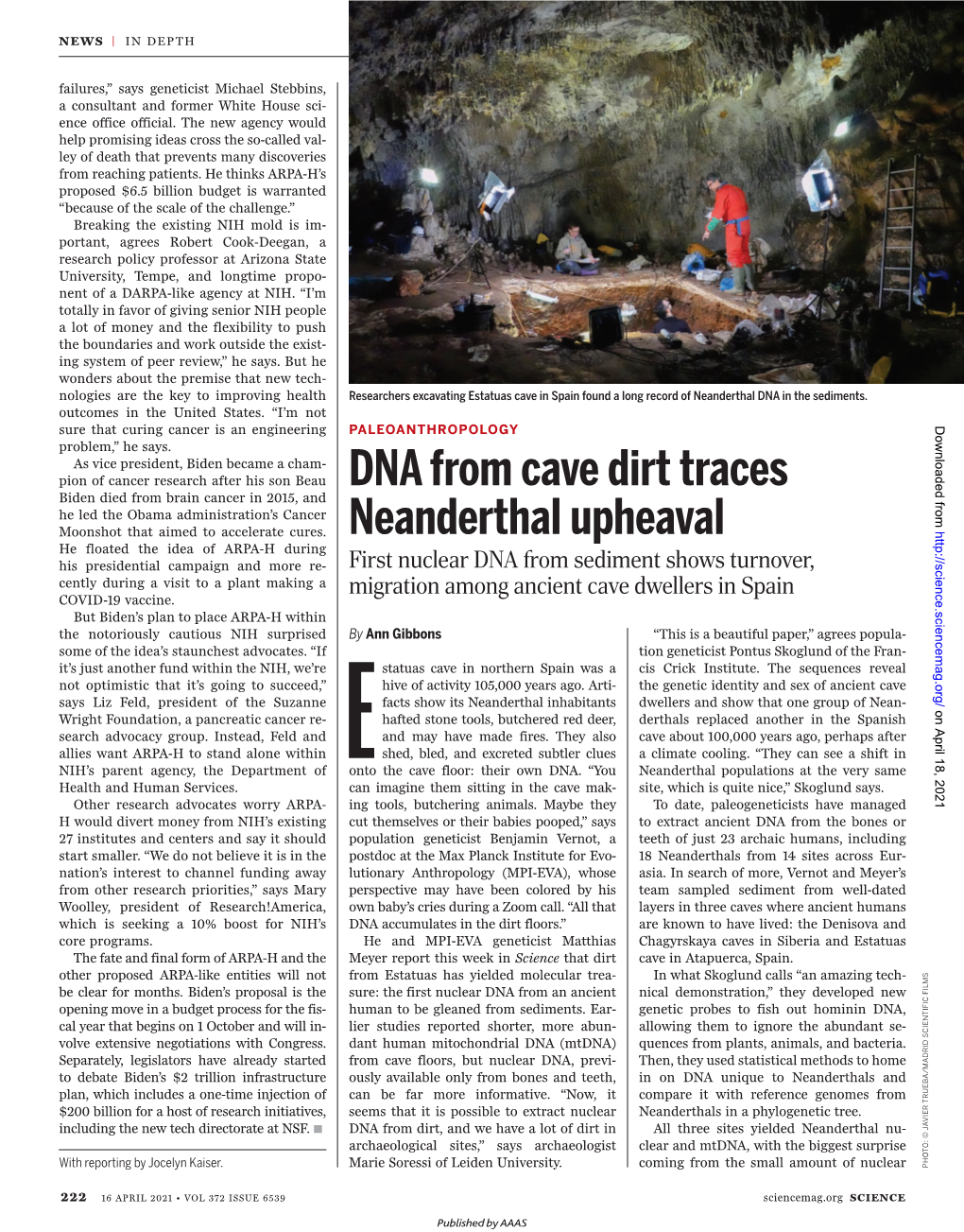 DNA from Cave Dirt Traces Neanderthal Upheaval Ann Gibbons