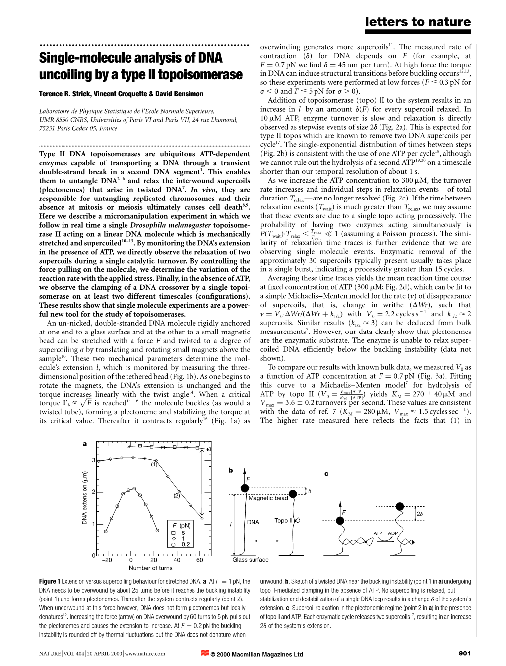 Single-Molecule Analysis of DNA Uncoiling by a Type II Topoisomerase