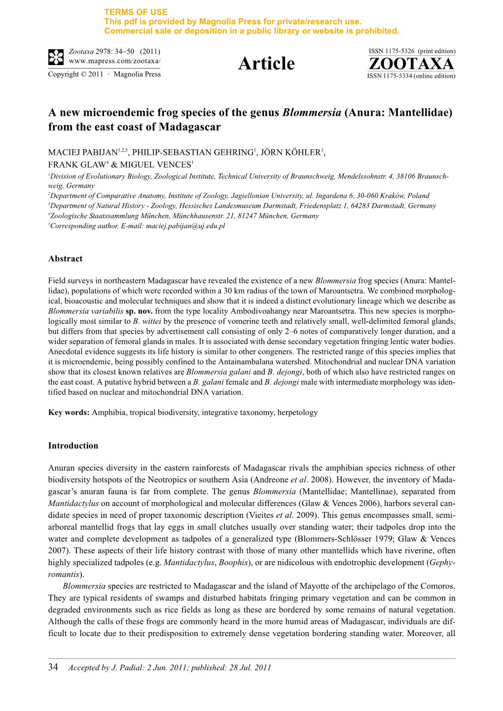 A New Microendemic Frog Species of the Genus Blommersia (Anura: Mantellidae) from the East Coast of Madagascar