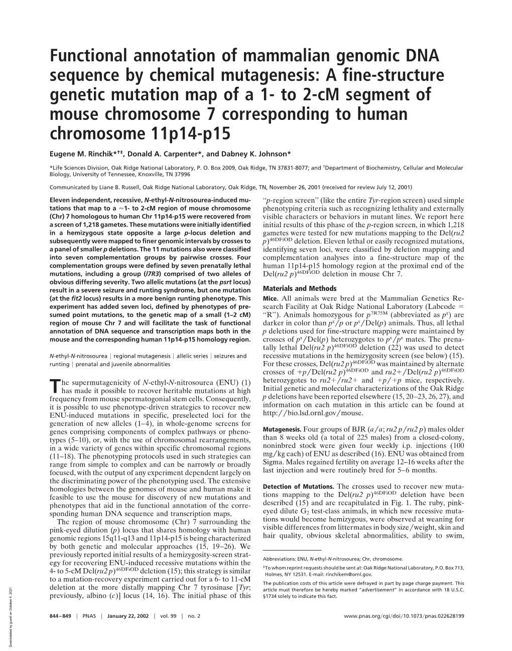 Functional Annotation of Mammalian Genomic DNA Sequence by Chemical Mutagenesis