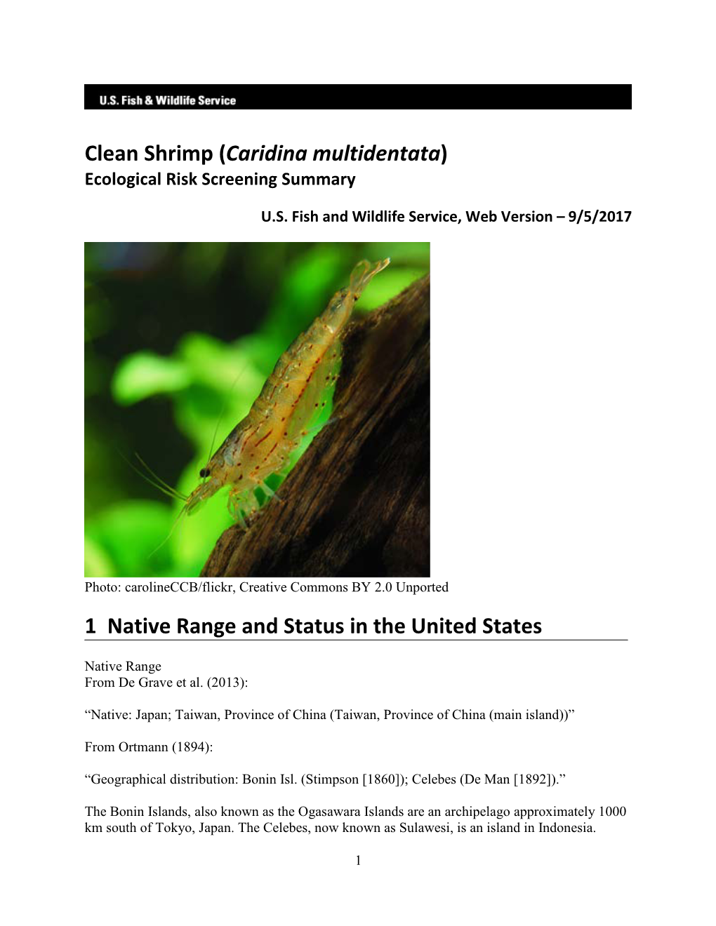 Caridina Multidentata) Ecological Risk Screening Summary