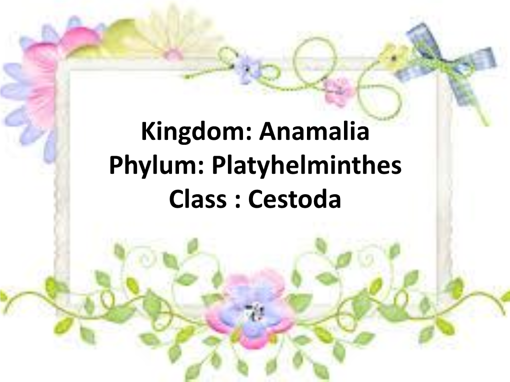 Kingdom: Anamalia Phylum: Platyhelminthes Class : Cestoda General Characteristics: * Multicellular Animals Characterized by a Flat, Bilaterally Symmetric Body