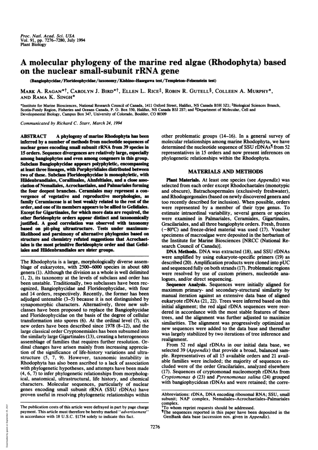 A Molecular Phylogeny of the Marine Red Algae (Rhodophyta) Based on the Nuclear Small-Subunit Rrna Gene