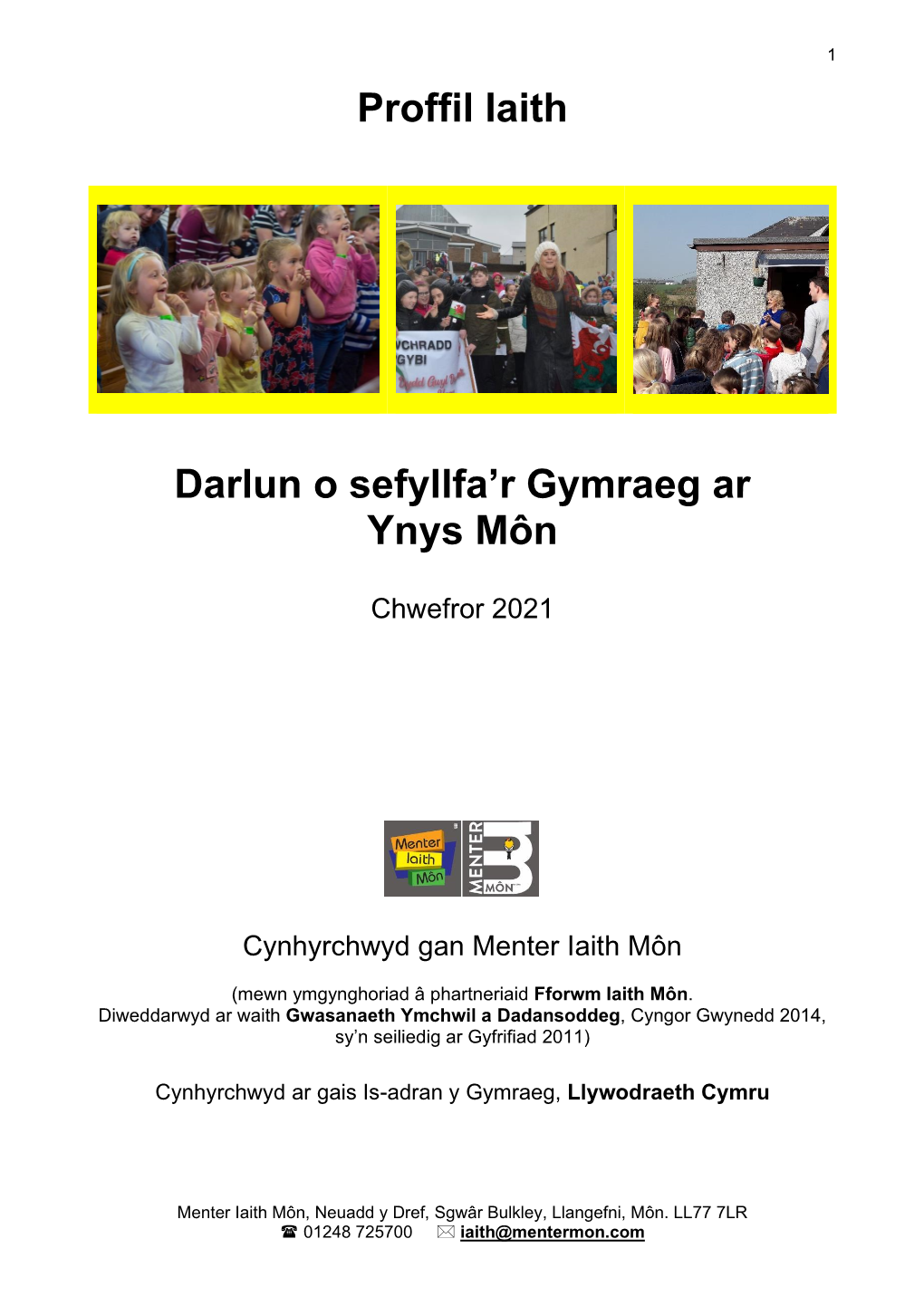 Proffil Iaith Darlun O Sefyllfa'r Gymraeg Ar Ynys