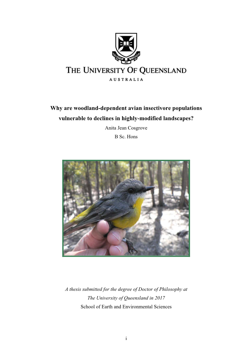 Why Are Woodland-Dependent Avian Insectivore Populations Vulnerable to Declines in Highly-Modified Landscapes? Anita Jean Cosgrove B Sc