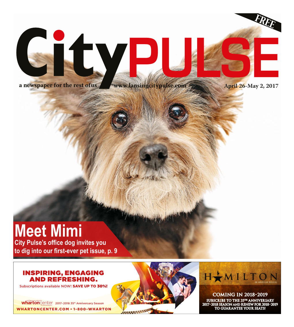 Meet Mimi City Pulse’S Office Dog Invites You to Dig Into Our First-Ever Pet Issue, P