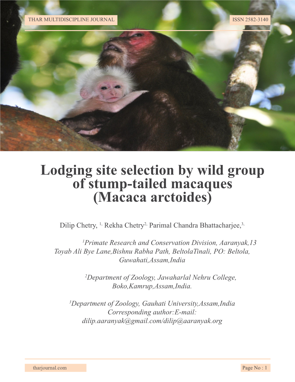 Lodging Site Selection by Wild Group of Stump-Tailed Macaques (Macaca Arctoides)