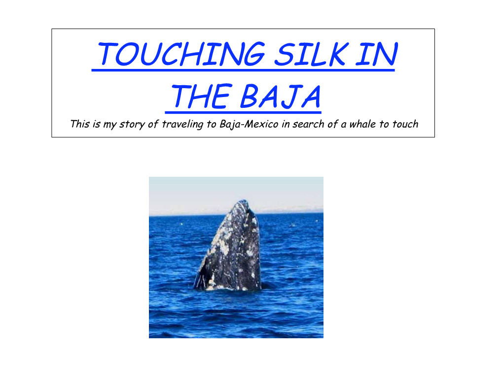 Touching Silk in the Baja