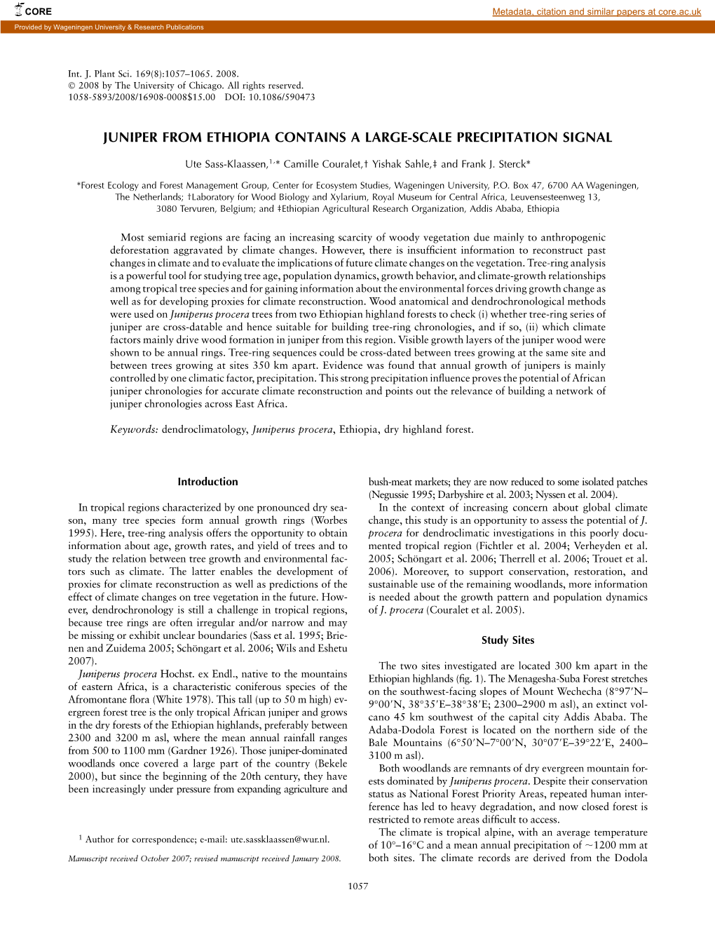 Juniper from Ethiopia Contains a Large-Scale Precipitation Signal