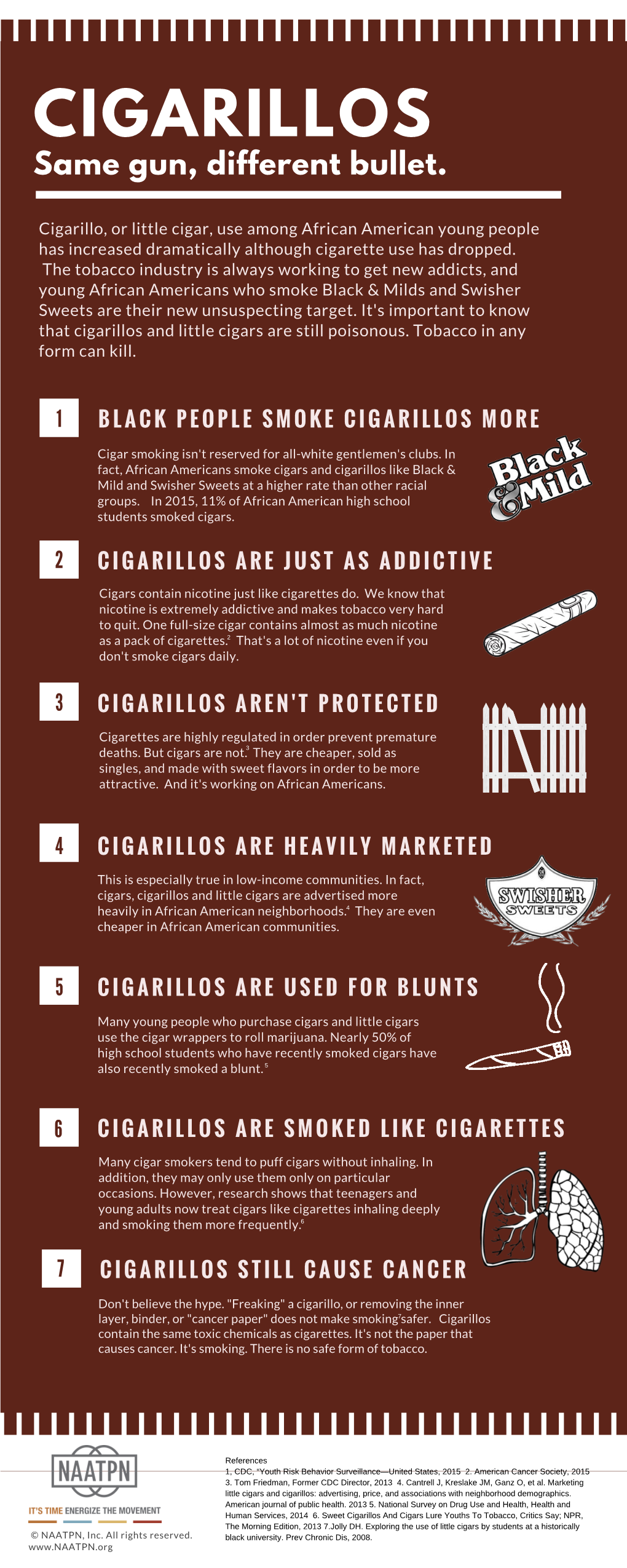 N Milds & Cigarillos Fact Sheet