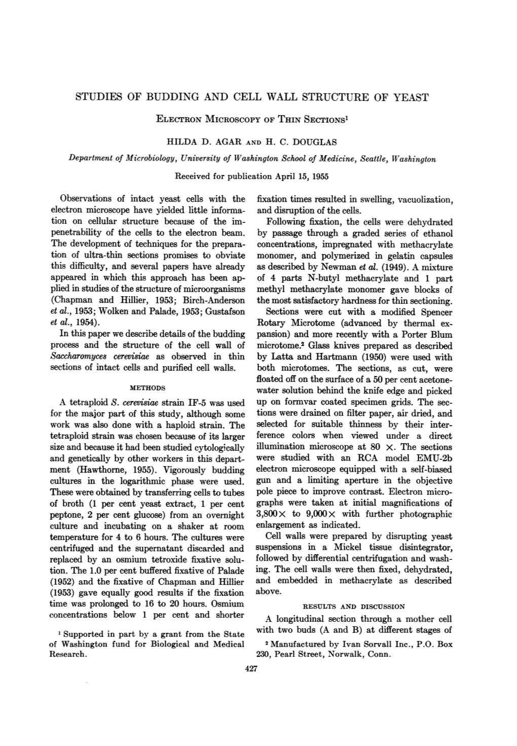 Studies of Budding and Cell Wall Structure of Yeast